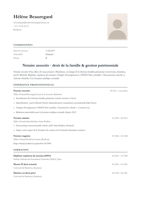 Preview of a French CV template