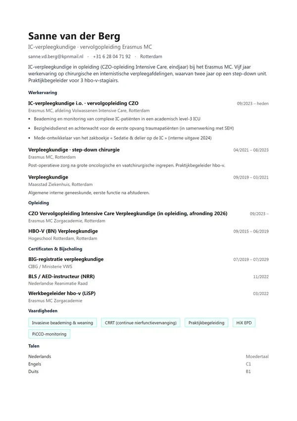 Preview of a Dutch CV template